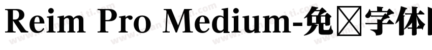 Reim Pro Medium字体转换